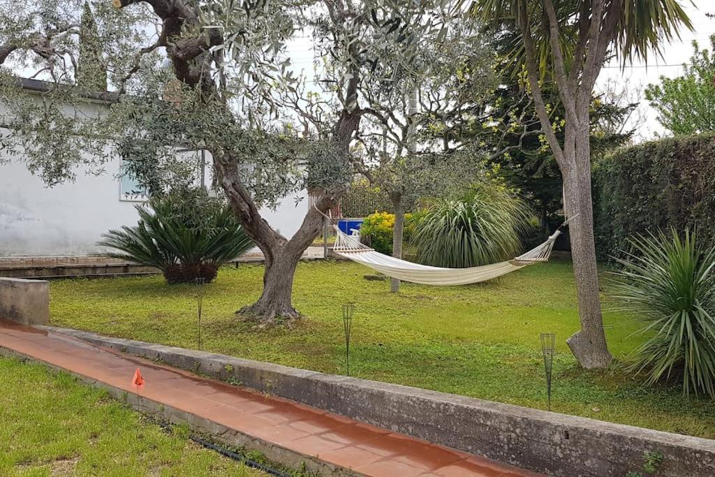 Countryhouse Gli Ulivi Modugno Buitenkant foto