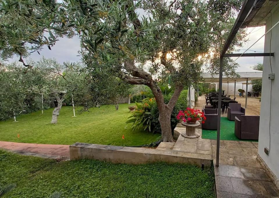 Countryhouse Gli Ulivi Modugno Buitenkant foto
