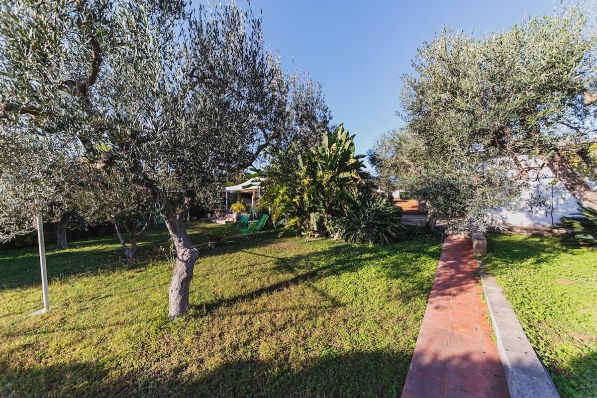 Countryhouse Gli Ulivi Modugno Buitenkant foto