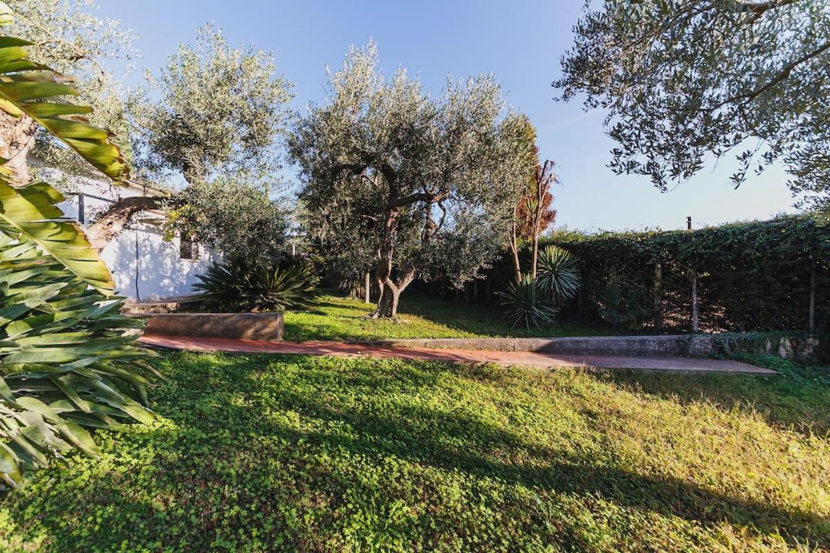 Countryhouse Gli Ulivi Modugno Buitenkant foto